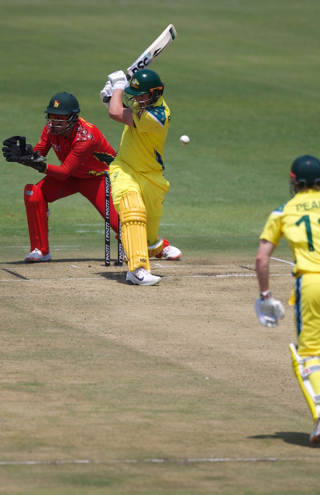 Australia finish on 294/8 after recovering from an early wobble and accelerating late.