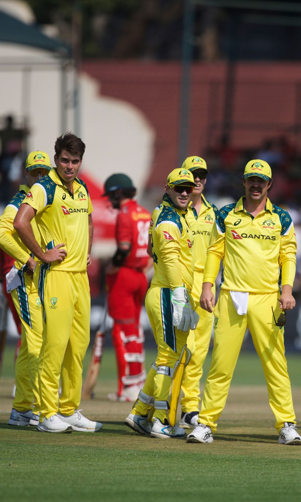 Australia searching for a breakthrough as veterans Ervine (59) and Raza (48*) stitch together a 98-run stand.