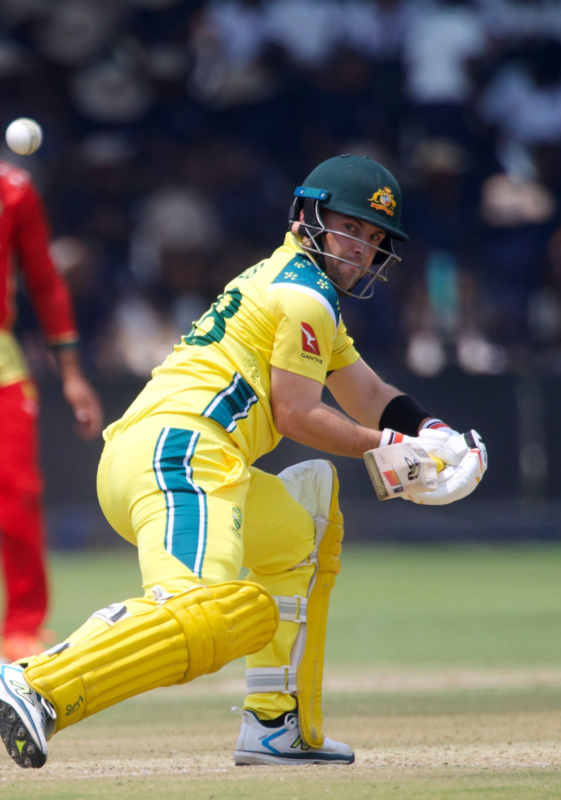 Australia survive a thriller to beat Zimbabwe by one wicket and finish the tour on a high.