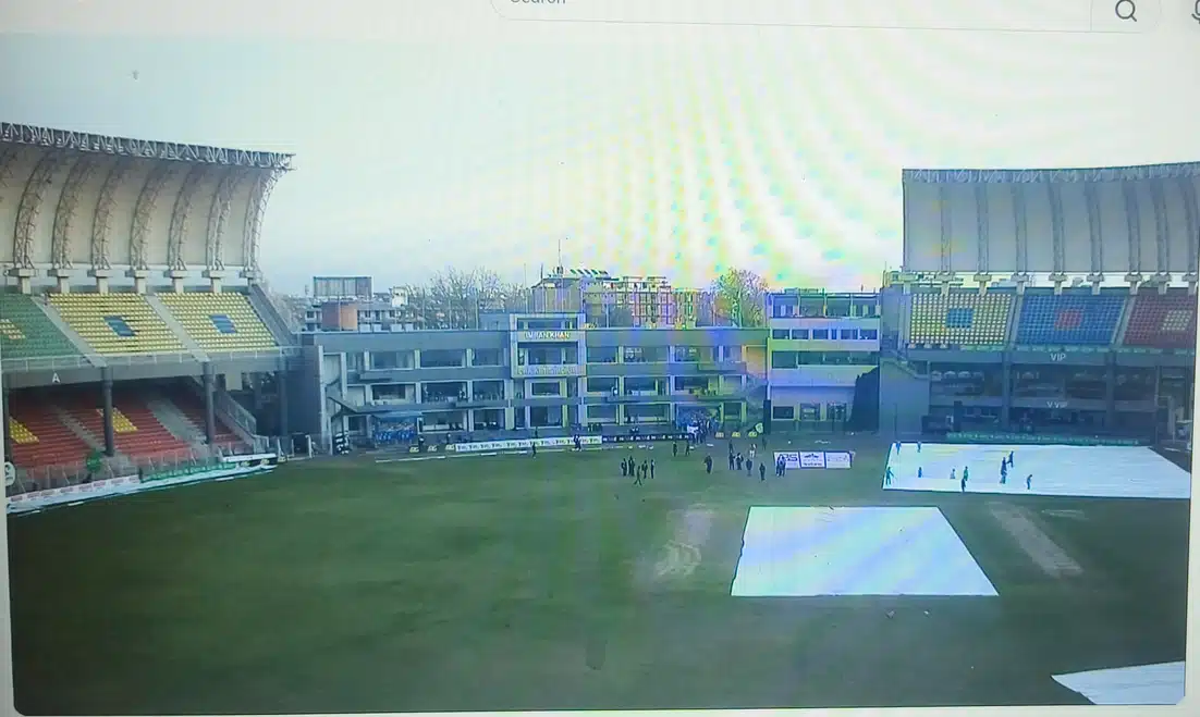 cricket lover discussion media