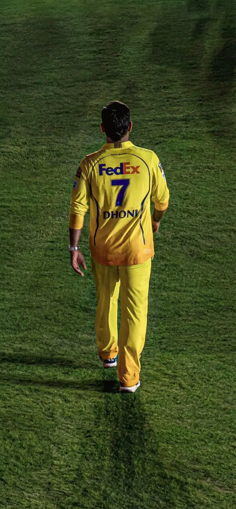 Mr cric discussion media